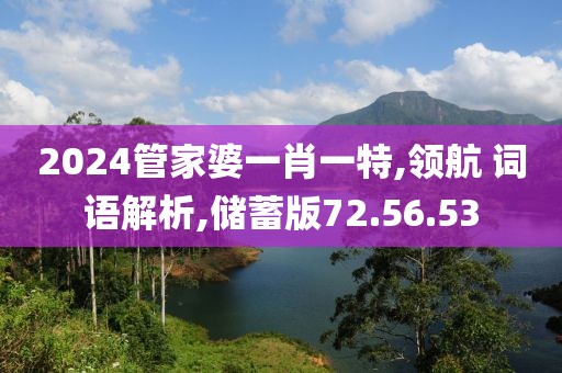 2024管家婆一肖一特,领航 词语解析,储蓄版72.56.53