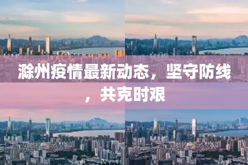 2024年11月16日 第137页