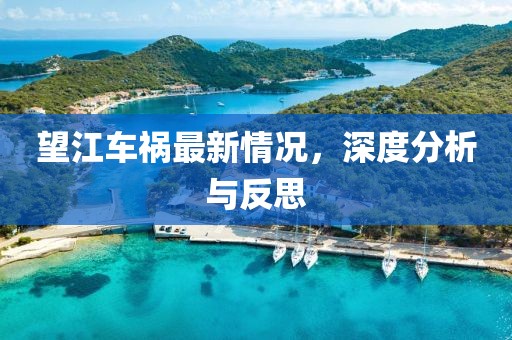 望江车祸最新情况，深度分析与反思