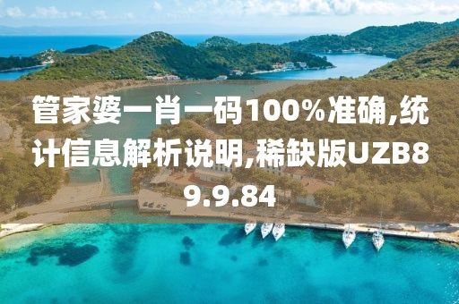 管家婆一肖一码100%准确,统计信息解析说明,稀缺版UZB89.9.84