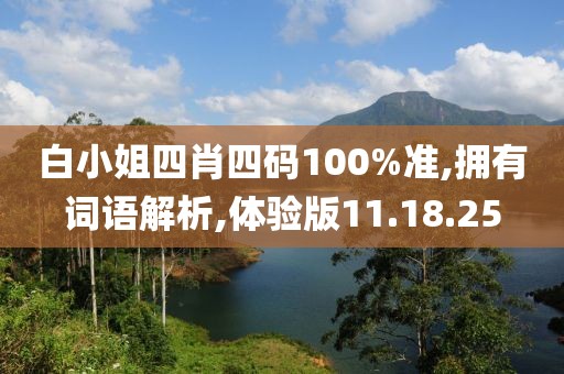 白小姐四肖四码100%准,拥有词语解析,体验版11.18.25