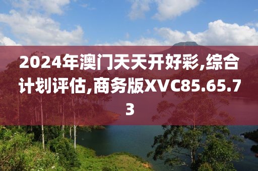 2024年澳门天天开好彩,综合计划评估,商务版XVC85.65.73