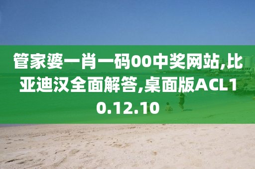 管家婆一肖一码00中奖网站,比亚迪汉全面解答,桌面版ACL10.12.10