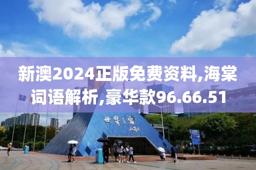 新澳2024正版免费资料,海棠词语解析,豪华款96.66.51