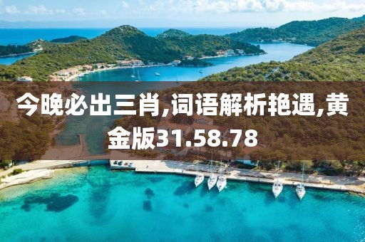 今晚必出三肖,词语解析艳遇,黄金版31.58.78