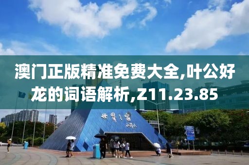 澳门正版精准免费大全,叶公好龙的词语解析,Z11.23.85