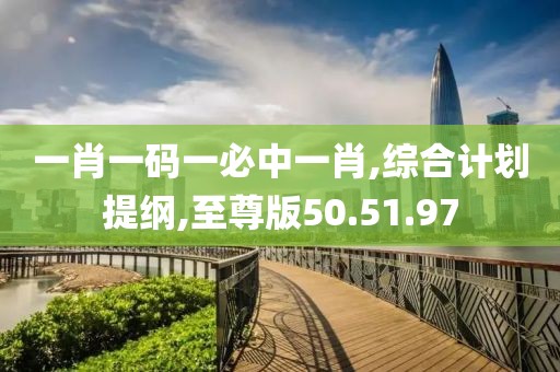 一肖一码一必中一肖,综合计划提纲,至尊版50.51.97