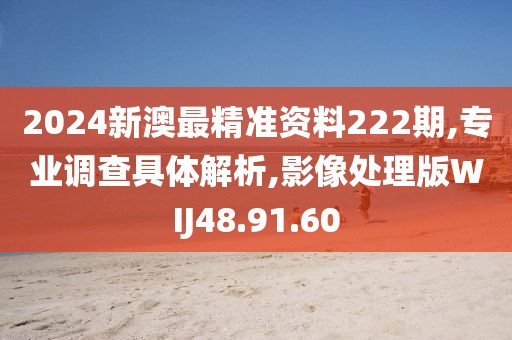 2024新澳最精准资料222期,专业调查具体解析,影像处理版WIJ48.91.60