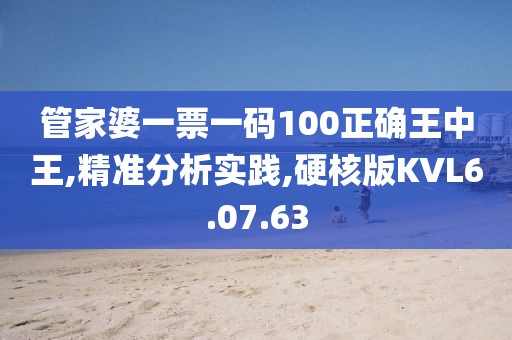 管家婆一票一码100正确王中王,精准分析实践,硬核版KVL6.07.63