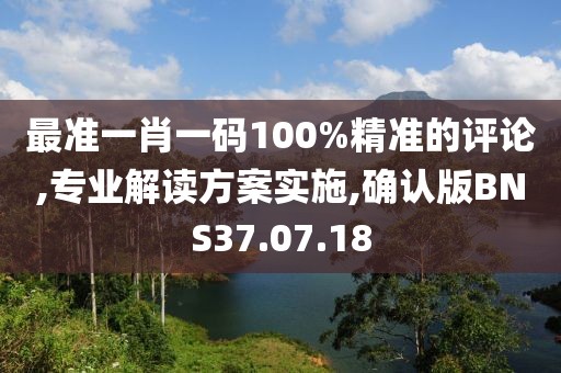 最准一肖一码100%精准的评论,专业解读方案实施,确认版BNS37.07.18