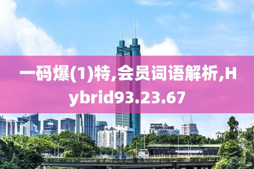 一码爆(1)特,会员词语解析,Hybrid93.23.67