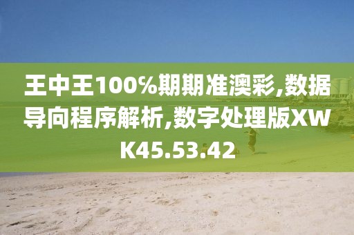 王中王100℅期期准澳彩,数据导向程序解析,数字处理版XWK45.53.42