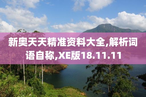 新奥天天精准资料大全,解析词语自称,XE版18.11.11