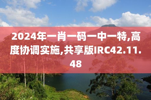 2024年一肖一码一中一特,高度协调实施,共享版IRC42.11.48