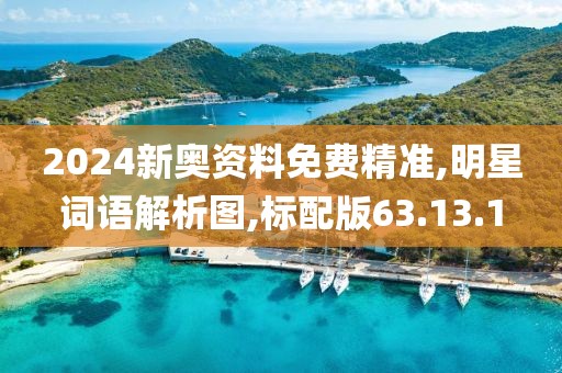 2024新奥资料免费精准,明星词语解析图,标配版63.13.1