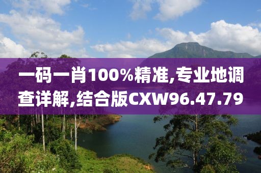一码一肖100%精准,专业地调查详解,结合版CXW96.47.79