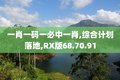 一肖一码一必中一肖,综合计划落地,RX版68.70.91