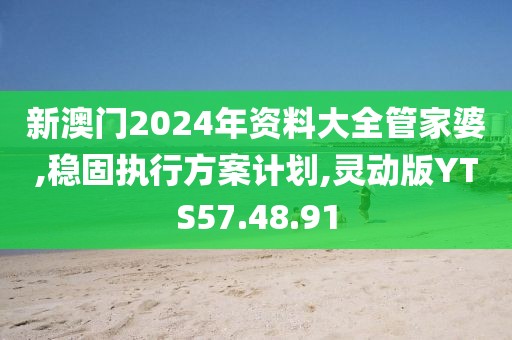 新澳门2024年资料大全管家婆,稳固执行方案计划,灵动版YTS57.48.91