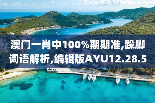 澳门一肖中100%期期准,跺脚词语解析,编辑版AYU12.28.50