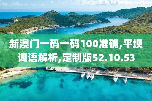 新澳门一码一码100准确,平坝词语解析,定制版52.10.53