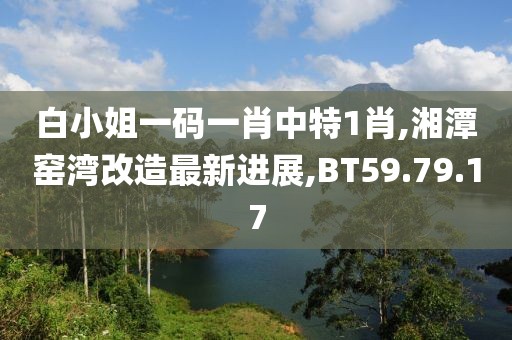 白小姐一码一肖中特1肖,湘潭窑湾改造最新进展,BT59.79.17