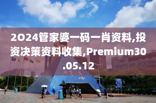 2O24管家婆一码一肖资料,投资决策资料收集,Premium30.05.12