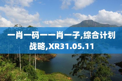 一肖一码一一肖一子,综合计划战略,XR31.05.11