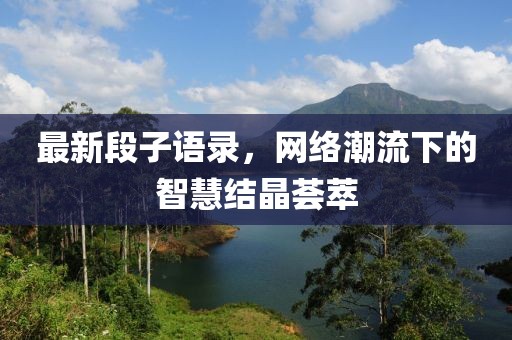 最新段子语录，网络潮流下的智慧结晶荟萃