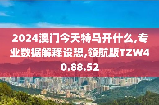 2024澳门今天特马开什么,专业数据解释设想,领航版TZW40.88.52