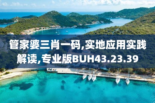管家婆三肖一码,实地应用实践解读,专业版BUH43.23.39