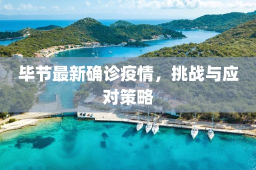 毕节最新确诊疫情，挑战与应对策略