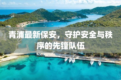 青浦最新保安，守护安全与秩序的先锋队伍