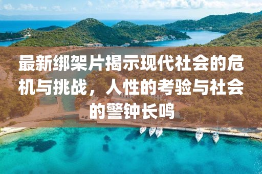 最新绑架片揭示现代社会的危机与挑战，人性的考验与社会的警钟长鸣