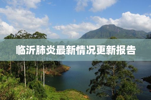 临沂肺炎最新情况更新报告