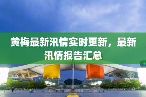 黄梅最新汛情实时更新，最新汛情报告汇总