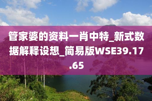 管家婆的资料一肖中特_新式数据解释设想_简易版WSE39.17.65
