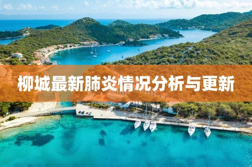 柳城最新肺炎情况分析与更新