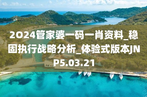 2O24管家婆一码一肖资料_稳固执行战略分析_体验式版本JNP5.03.21