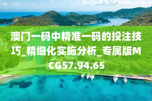 澳门一码中精准一码的投注技巧_精细化实施分析_专属版MCG57.94.65