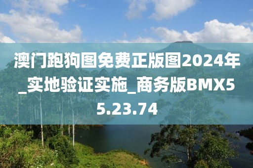 澳门跑狗图免费正版图2024年_实地验证实施_商务版BMX55.23.74