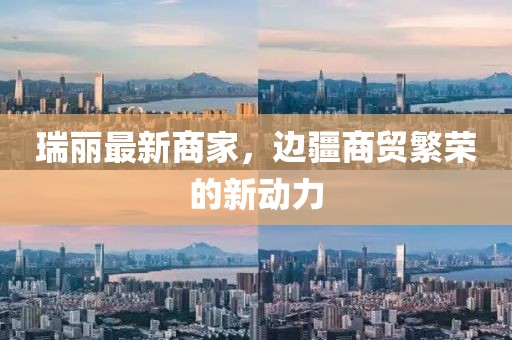瑞丽最新商家，边疆商贸繁荣的新动力