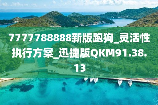 7777788888新版跑狗_灵活性执行方案_迅捷版QKM91.38.13