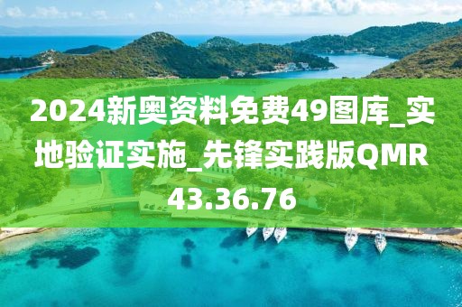 2024新奥资料免费49图库_实地验证实施_先锋实践版QMR43.36.76