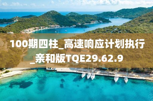 100期四柱_高速响应计划执行_亲和版TQE29.62.9