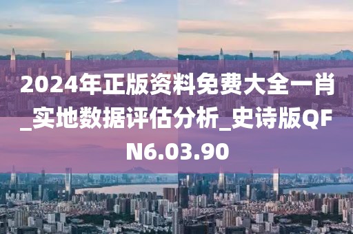 2024年正版资料免费大全一肖_实地数据评估分析_史诗版QFN6.03.90