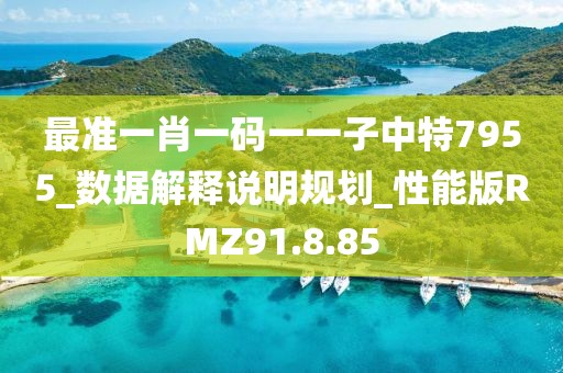 最准一肖一码一一子中特7955_数据解释说明规划_性能版RMZ91.8.85