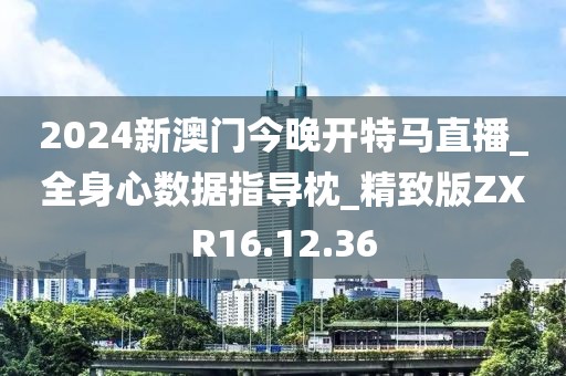 2024新澳门今晚开特马直播_全身心数据指导枕_精致版ZXR16.12.36