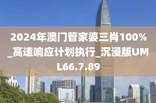 2024年澳门管家婆三肖100%_高速响应计划执行_沉浸版UML66.7.89