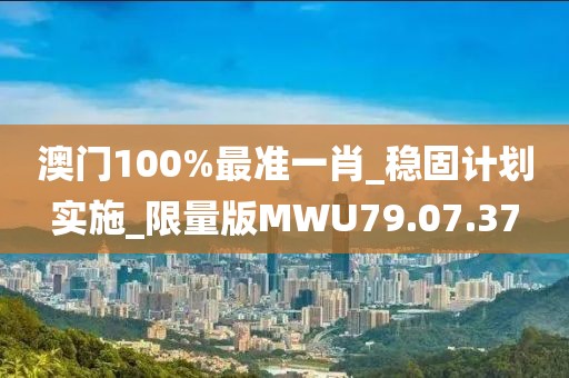 澳门100%最准一肖_稳固计划实施_限量版MWU79.07.37