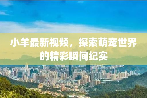 小羊最新视频，探索萌宠世界的精彩瞬间纪实